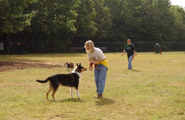 Darden Towe Dog Park photo 2